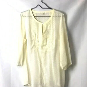 DANIEL RAINN WO SZ 1X CREAM SWISS DOT SHEER TOP
